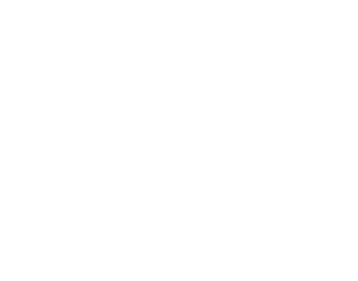 Diament Forbes 2020